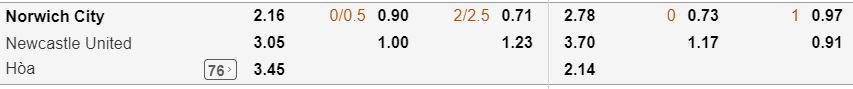 ty le keo norwich city vs newcastle cap nhat ngay 12/8 hinh anh 6