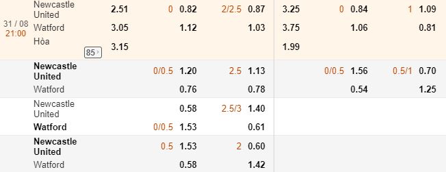 ty le keo newcastle vs watford ngay 31/08 hinh anh 1