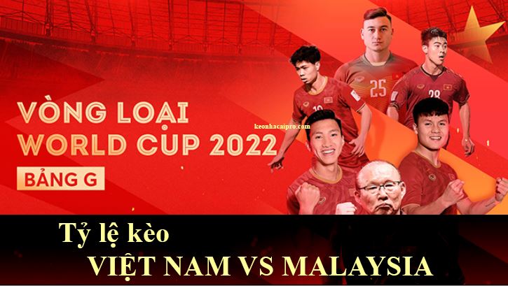 ty le keo  viet nam vs malaysia hom nay hinh anh 1