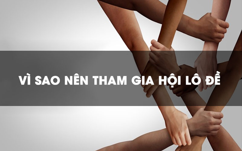 Hoi me lo de mien Bac cung cap thong tin gi