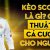 Hướng dẫn cách cược kèo score box cho người mới